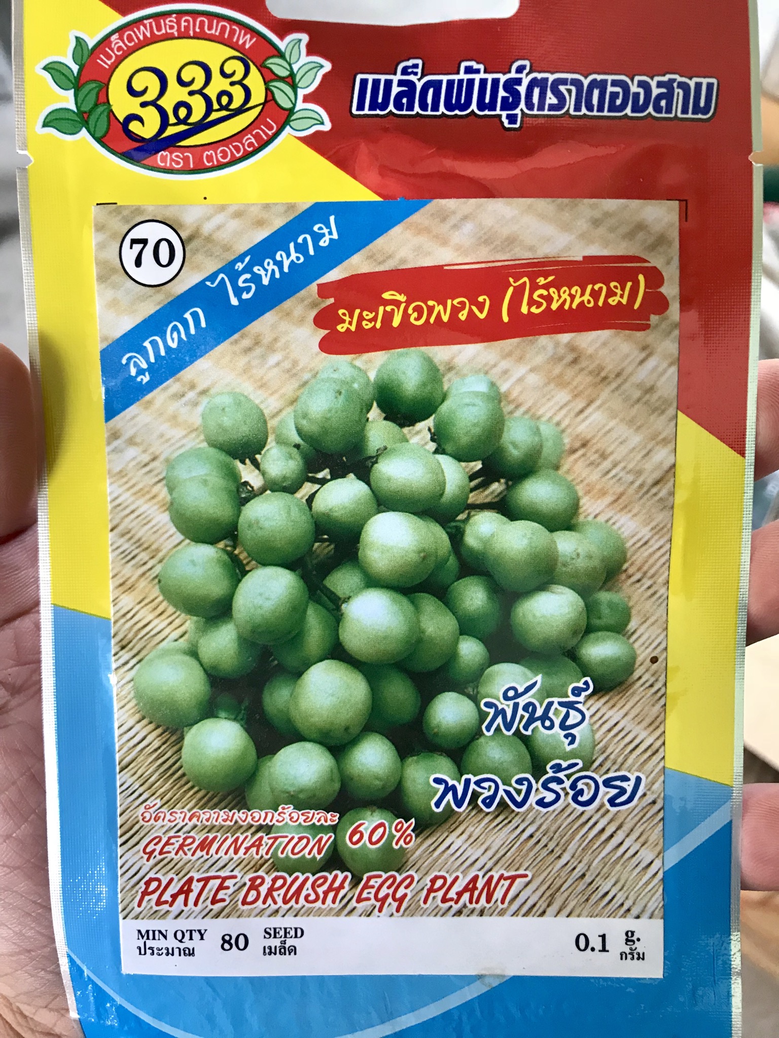 มะเขือพวง ไร้หนาม 80เมล็ด