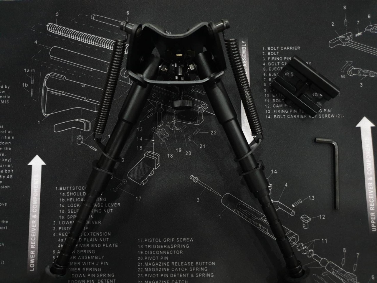 ขาทรายสปริง