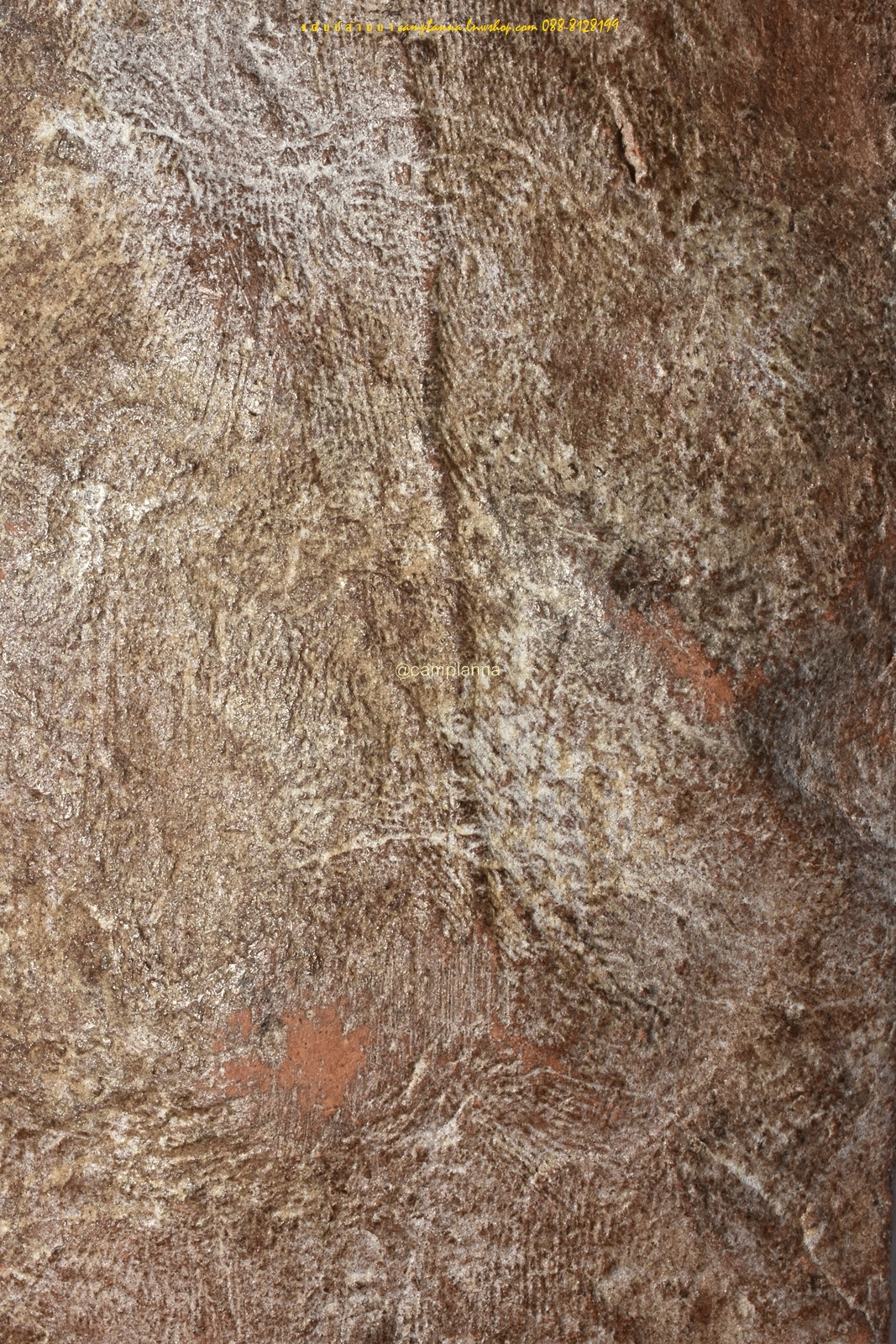 พระลีลาซุ้มแจกัน เนื้อดิน 4.5x11.5 cm งดงามอลังการหายากยิ่งยวดหนึ่งในสยาม