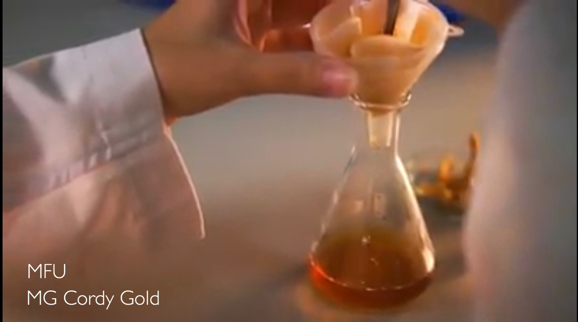 สารสกัดถั่งเช่า สำหรับทำเครื่องทำอางค์ (Cordyceps Extract) 15B/cc.