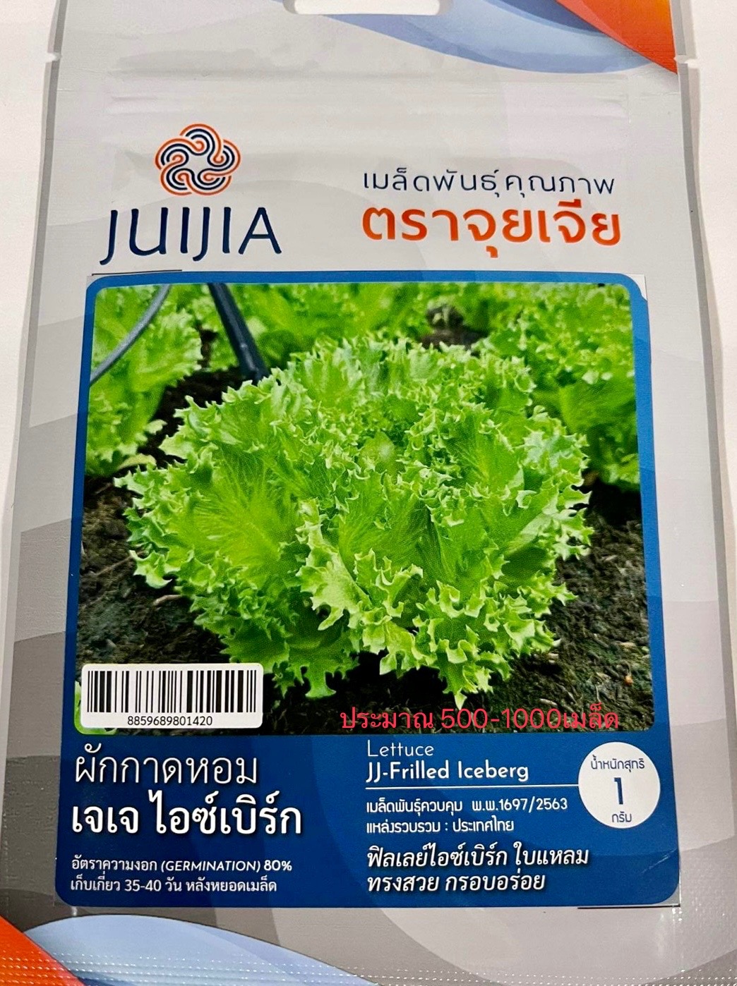 สลัด ฟินเล่ย์ ไอซ์เบิร์ก ประมาณ 500-1000 เมล็ด