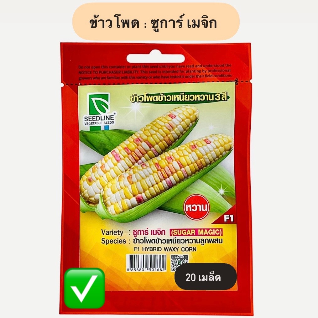ข้าวโพด : ซูการ์ เมจิก 3 สี (20 เมล็ด)