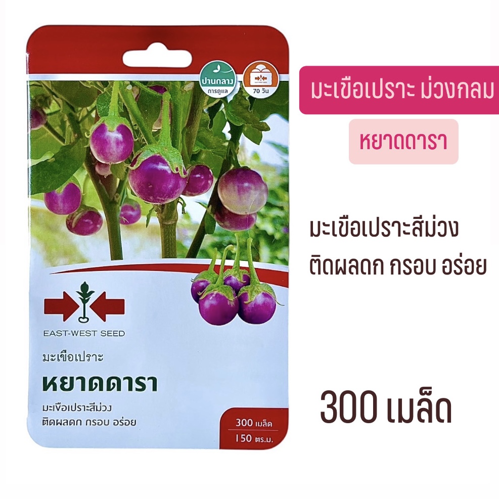 ศรแดง มะเขือม่วงกลม หยาดดารา (300 เมล็ด)