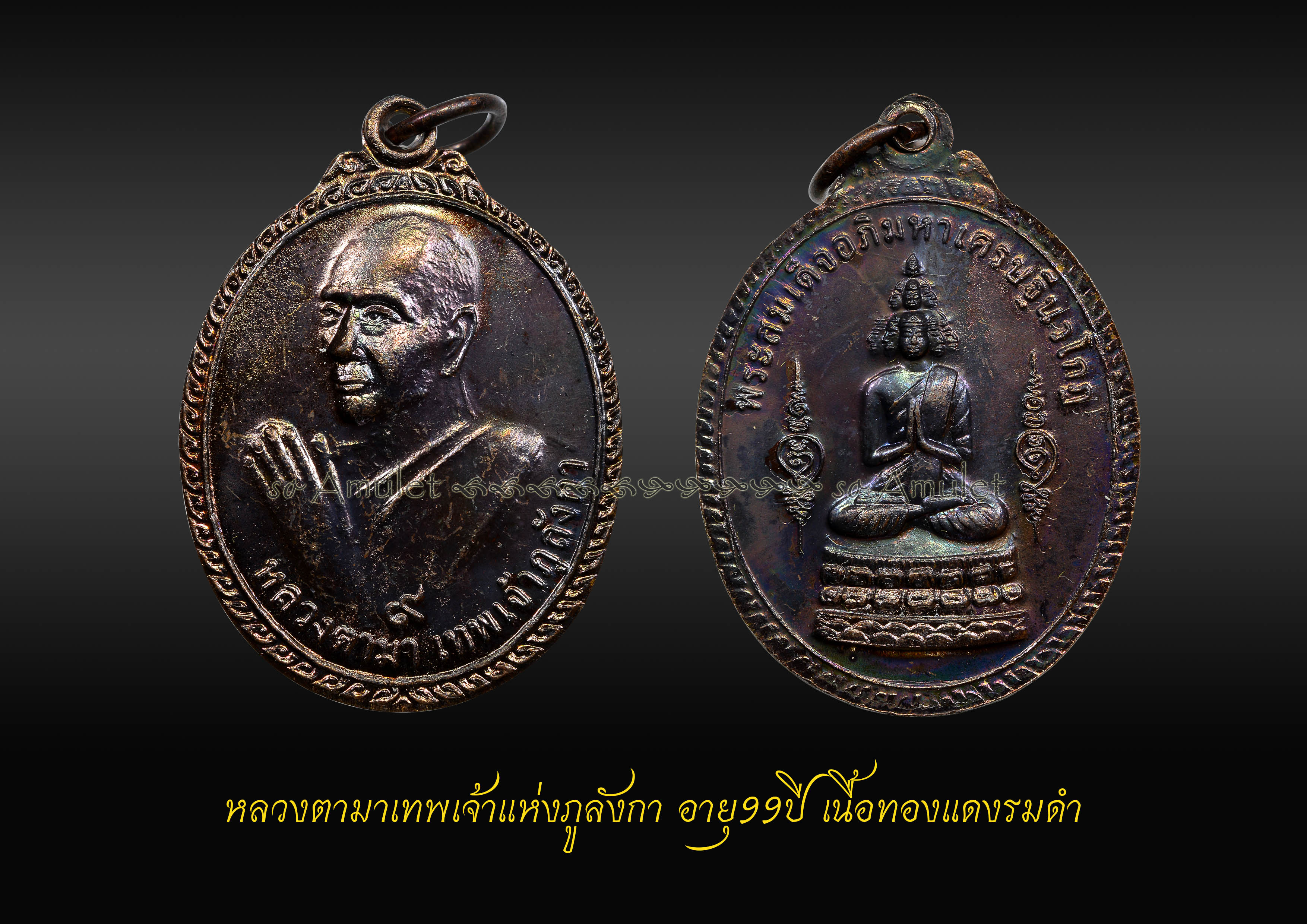 หลวงตามาเทพเจ้าแห่งภูลังกา อายุ 99 ปี เนื้อทองแดงรมดำ