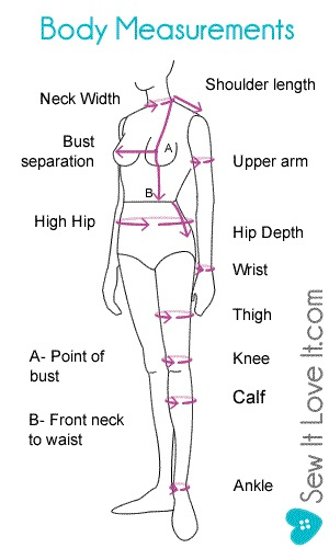 body measurements