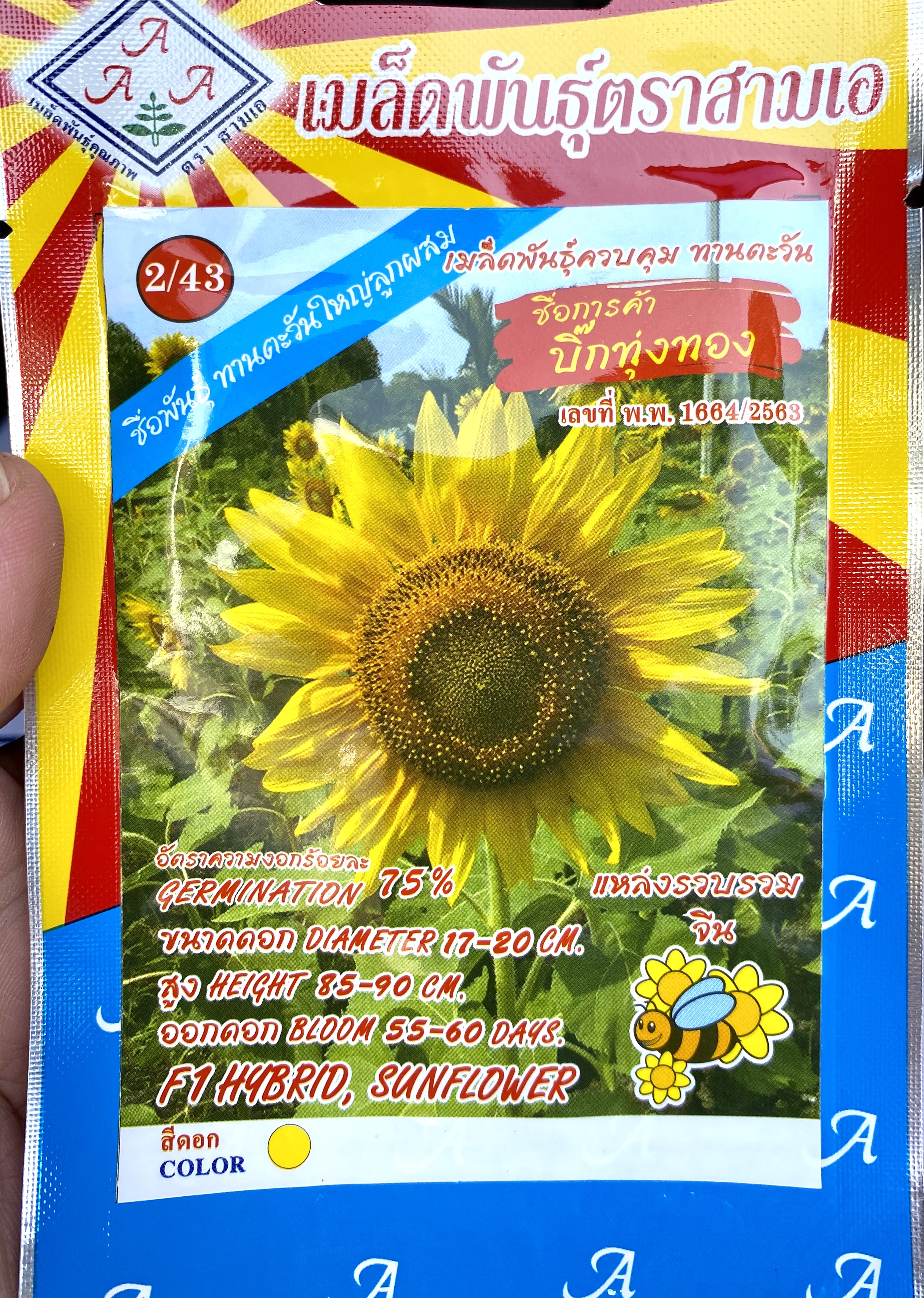 ทานตะวัน ดอกใหญ่ (50 เมล็ด)