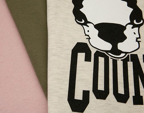 PreOrderคนอ้วน - เสื้อกันหนาวแฟชั่น ไซส์ใหญ่ คนอ้วน เสื้อยืดกันหนาว พิมพ์ลายน้องหมาที่หน้าอก สี : เขียว / ชมพู / แอปริคอท (เบจ)