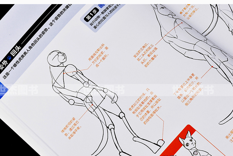 สอนวาดเคโมะKemono เล่ม2