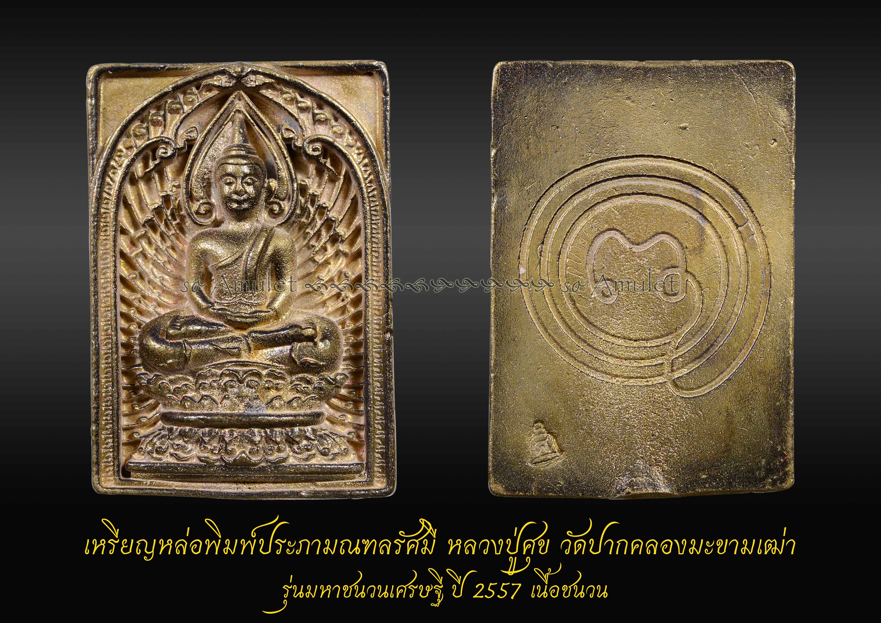 เหรียญหล่อพิมพ์ประภามณฑลรัศมี หลวงปู่ศุข วัดปากคลองมะขามเฒ่า รุ่นมหาชนวนเศรษฐี ปี2557 เนื้อชนวน