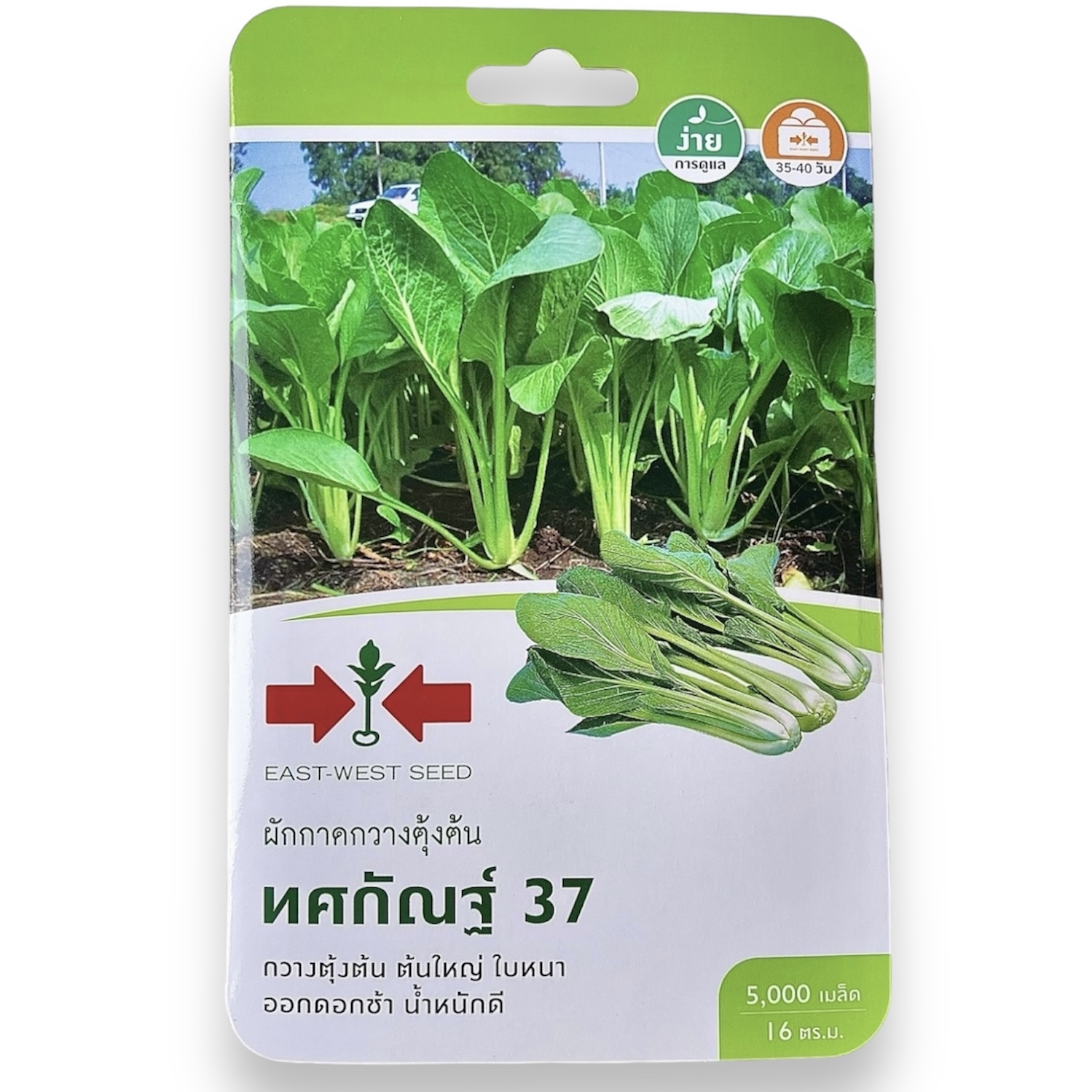 ศรแดง ผักกาดกวางตุ้งต้น ทศกัณฐ์ 37 (5000 เมล็ด)