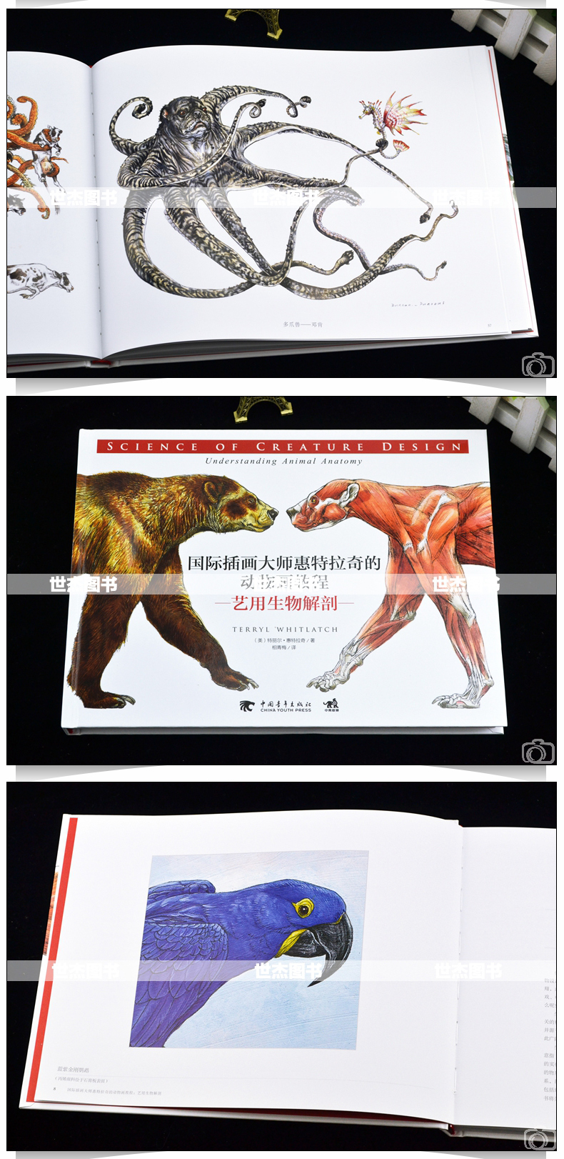 แพ็คเซตสอนการวาดสัตว์ประหลาดของTerryl Whitlatchค่ะ[3เล่ม]