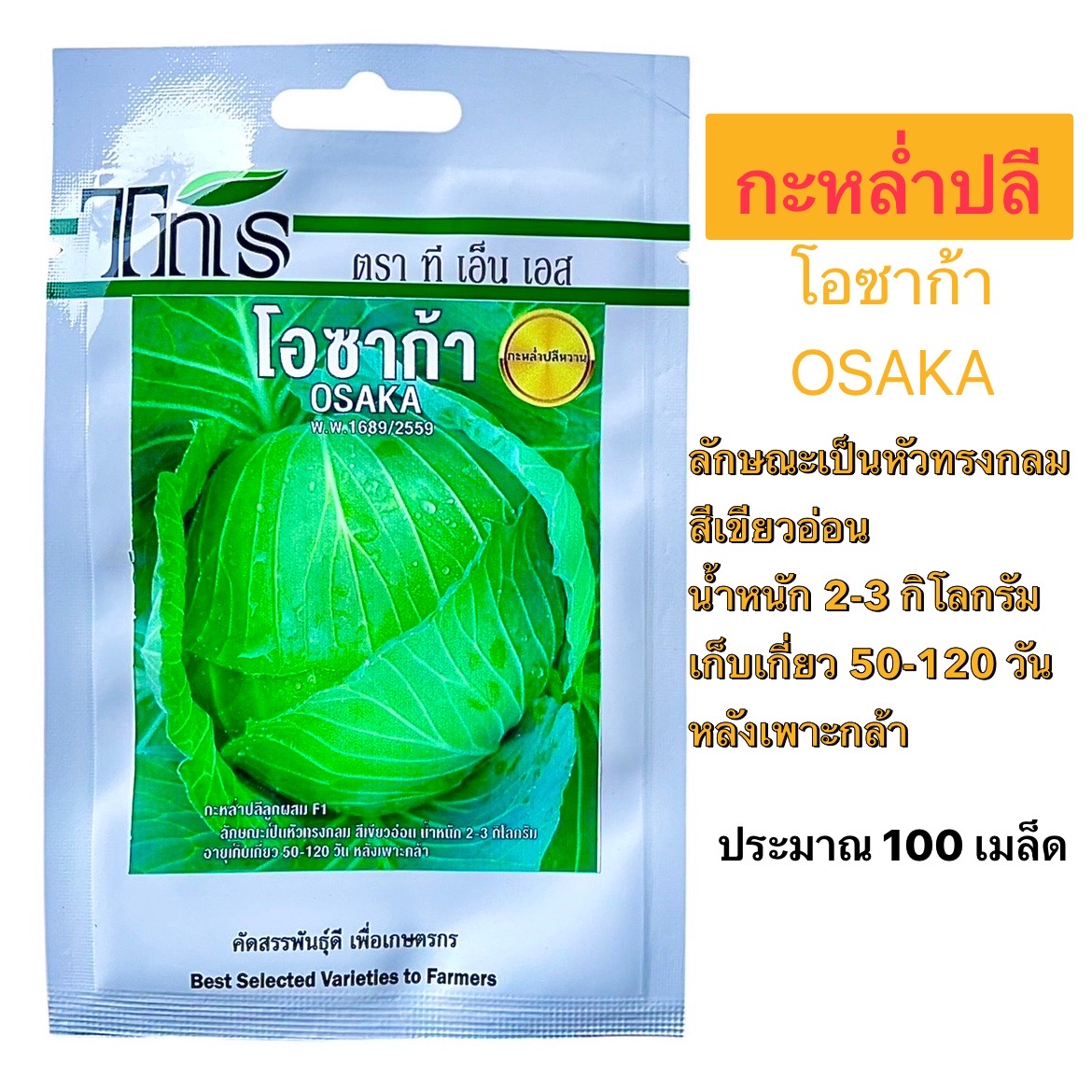 tns กะหล่ำปลี โอซาก้า OSAKA (ประมาณ 100 เมล็ด)