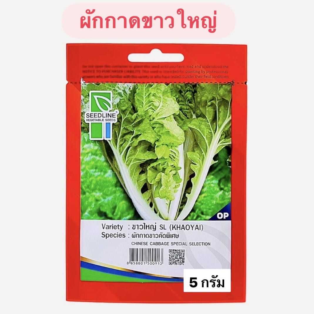 ผักกาดขาวใหญ่ (5กรัม)