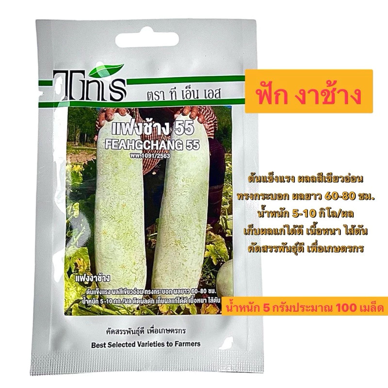 tns เมล็ด ฟัก แฟง ช้าง 55 (5 กรัม ประมาน 100 เมล็ด)