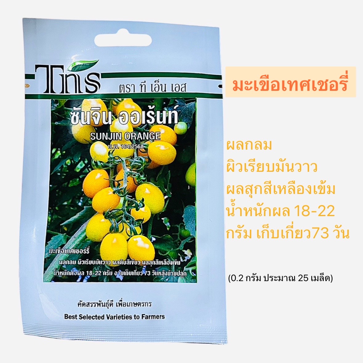 tns มะเขือเทศเชอรี่ ซันจิน ออเร้นท์ (ประมาณ 25 เมล็ด)