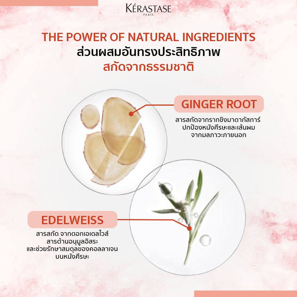 Kerastase Genesis Bain Hydra-fortifiant เคเรสตาส เจเนซิส เบน ไฮดร้า-ฟอร์ทีฟียองท์ สำหรับผู้มีปัญหาผมขาดหลุดร่วง เส้มผมไม่แข็งแรง 250ml