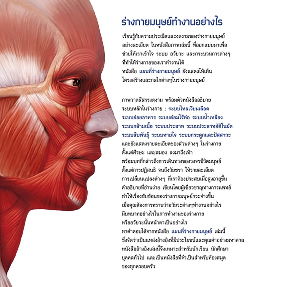 (พร้อมส่ง) แผนที่ร่างกายมนุษย์ (ปกอ่อน) เคน แอชเวลล์ แอร์โรว์ มัลติมีเดีย