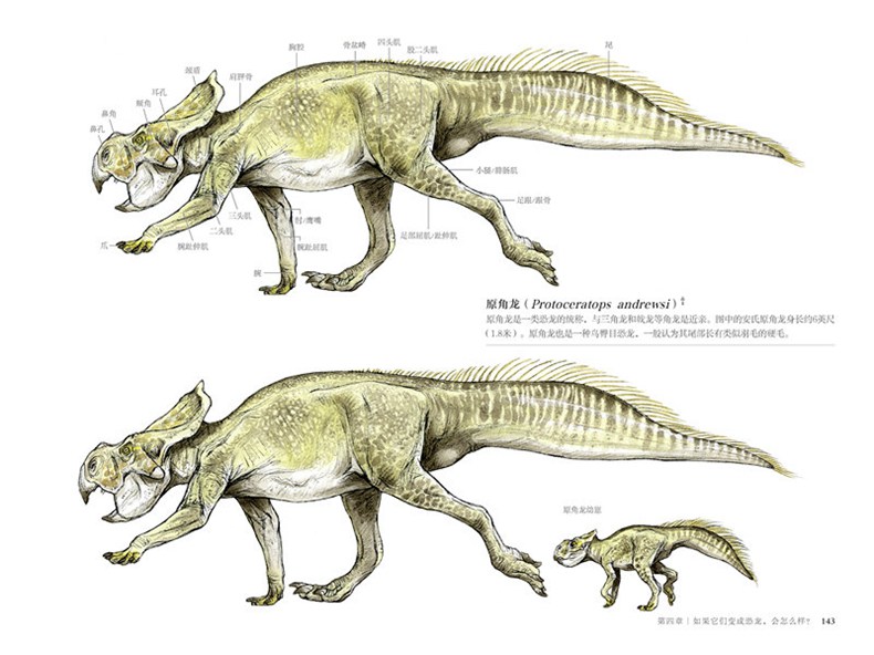 Science of Creature Design: understanding animal anatomy