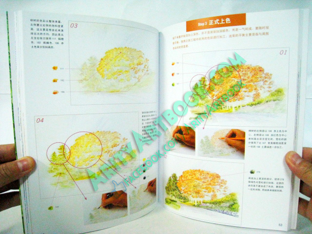 สอนวาดสีไม้