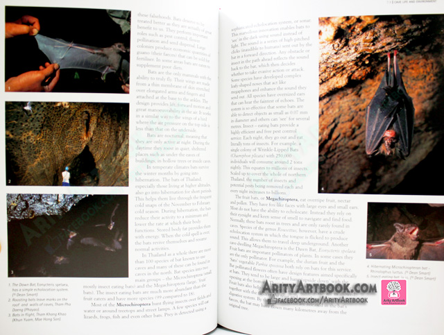 Caves of Northern Thailand- ข้อมูลถ้ำในภาพเหนือประเทศไทย