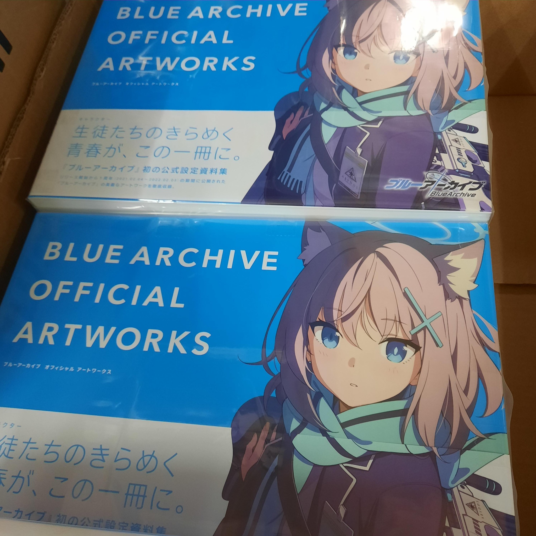 Blue Archive Official Artworks Vol.1