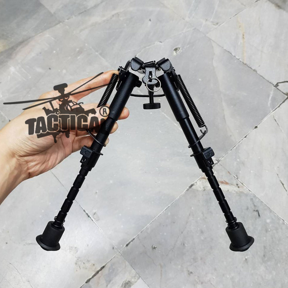 ขาทรายสปริง