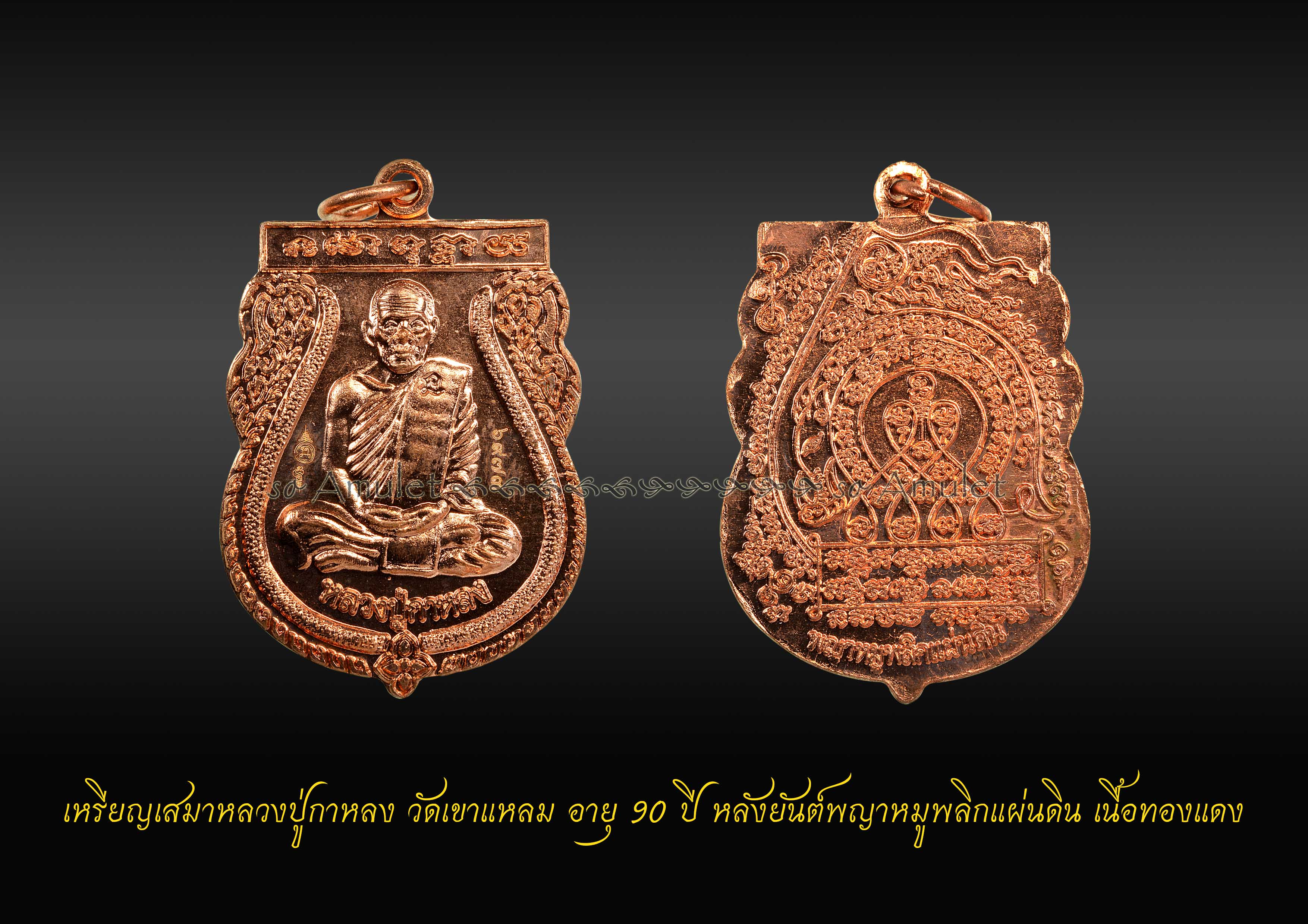 เหรียญเสมาหลวงปู่กาหลง วัดเขาแหลม อายุ90ปี หลังพญาหมูพลิกแผ่นดิน เนื้อทองแดง