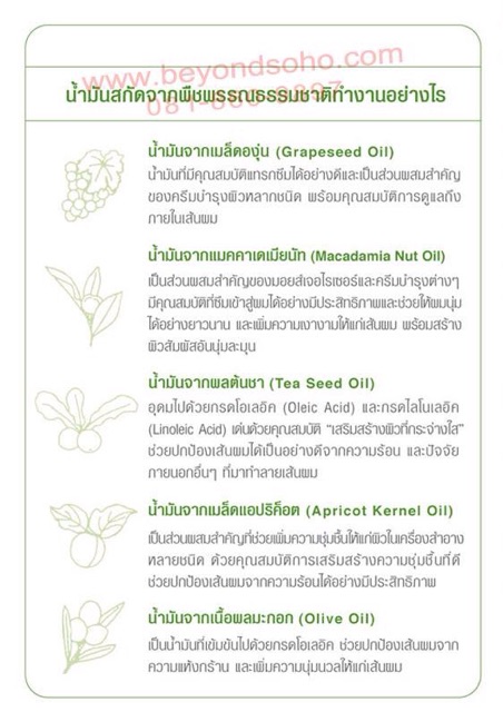 SHISEIDO F-Program L-HPT ชิเซโด้ เอฟ โปรแแกรม สูตรผมเส้นเล็ก ไซค์ใหญ่ ขนาด240 ml