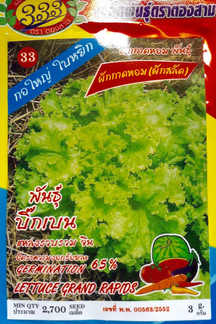 ผักกาดหอม (สลัดใบหยิก) 2700เมล็ด