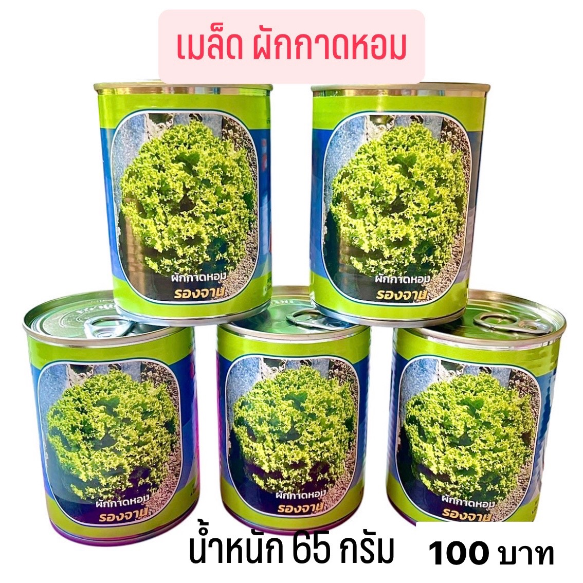 กระป๋อง เมล็ดผักกาดหอม พันธุ์รองจาน (65 กรัม)