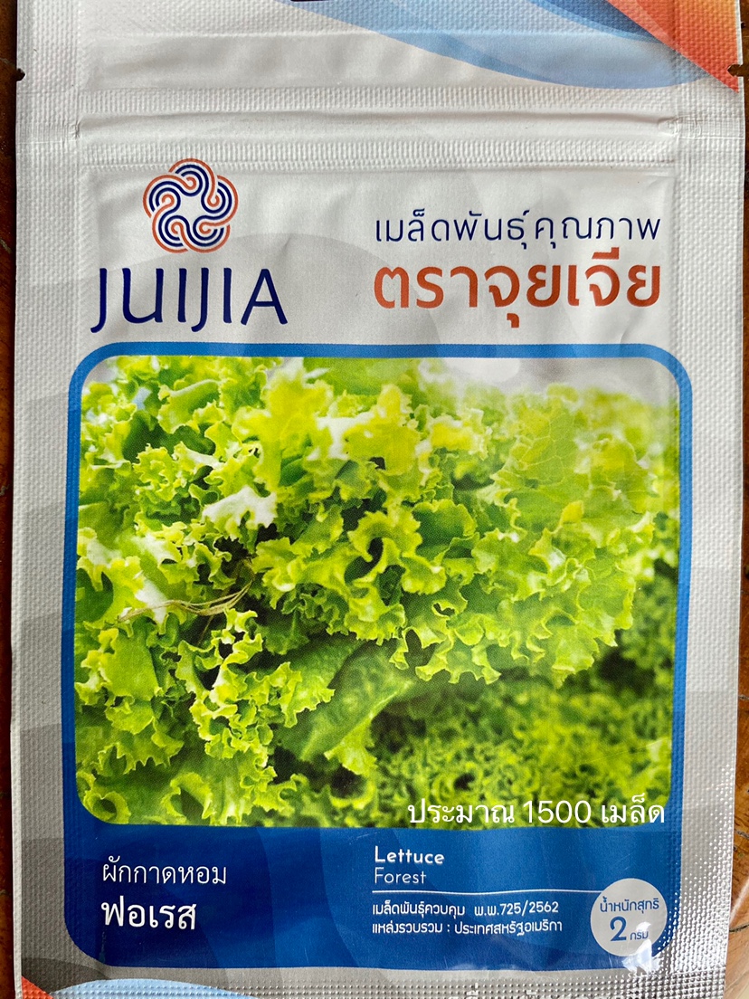 ผักกาดหอม ฟอเรส ประมาณ 1500 เมล็ด