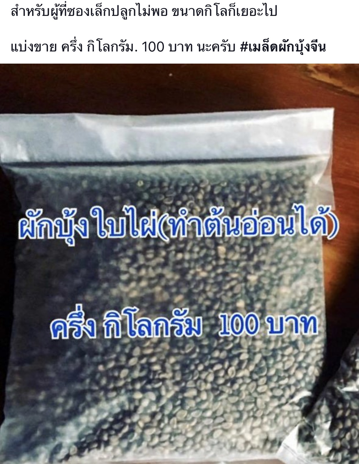 ผักบุ้ง ใบไผ่ 0.5 กิโลกรัม