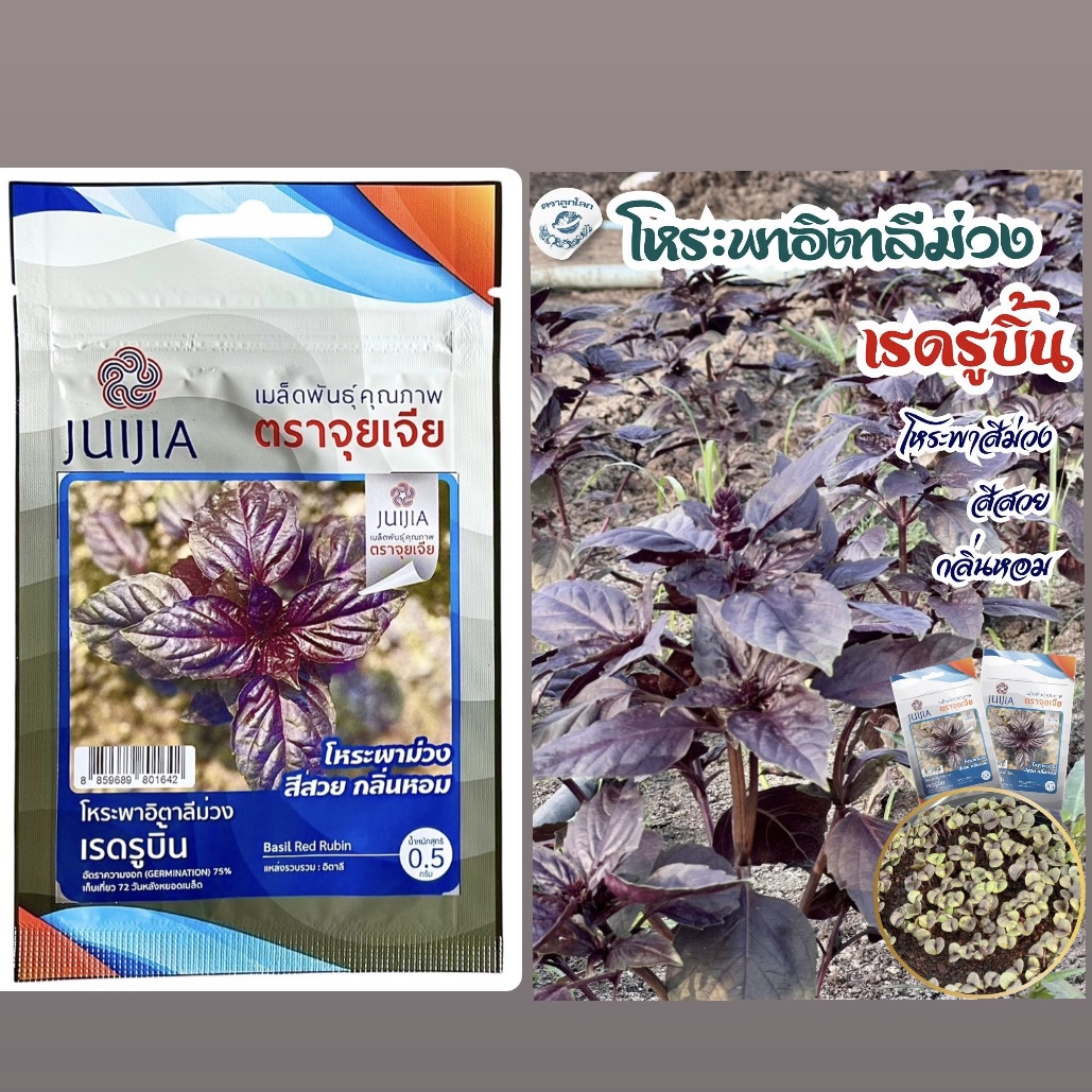 อิตาเลี่ยนเบซิล สีม่วง (0.5 กรัม)