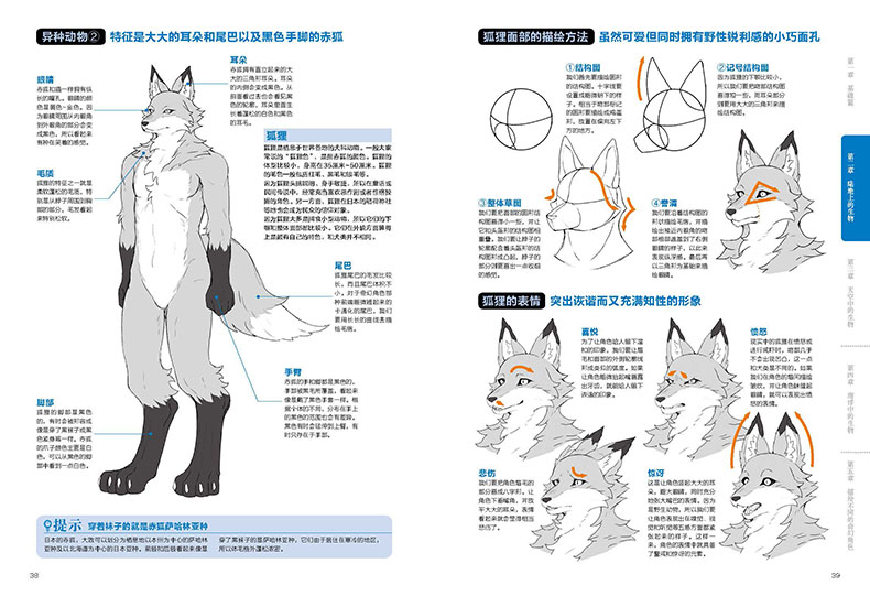 สอนวาดเคโมะKemono เล่ม1