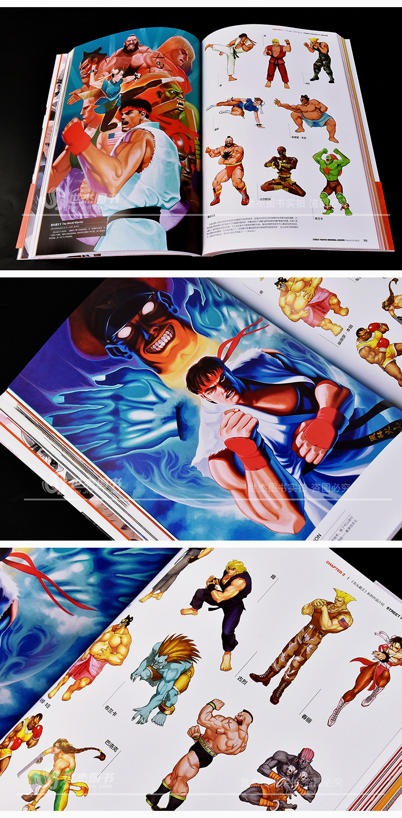 Street Fighter Memorial Archive: Beyond the World