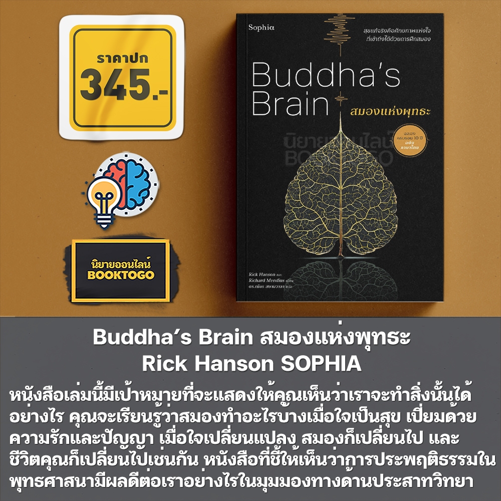 (พร้อมส่ง) Buddha’s Brain สมองแห่งพุทธะ Rick Hanson SOPHIA
