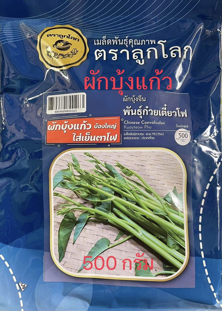ผักบุ้งแก้ว ผักบุ้งจีน 0.5 กิโลกรัม