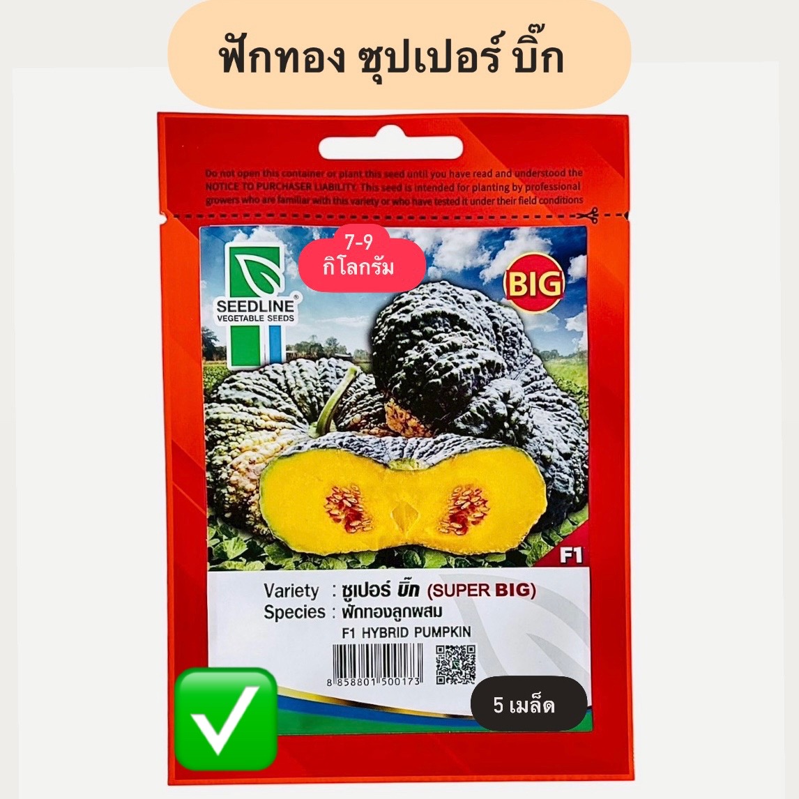 ฟักทอง ซุปเปอร์ บิ๊ก (5 เมล็ด)