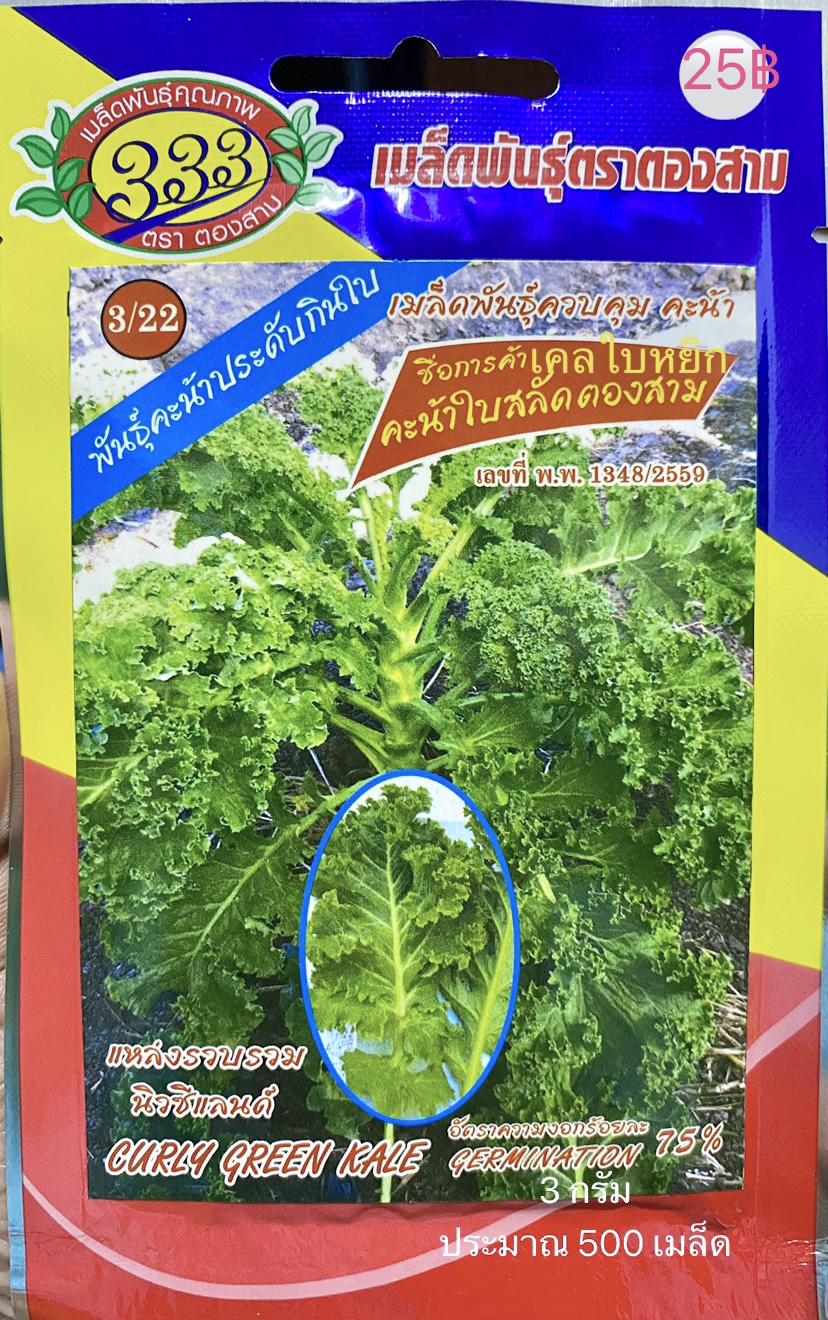 คะน้าเคล kale คะน้าใบสลัด ประมาณ 100เมล็ด