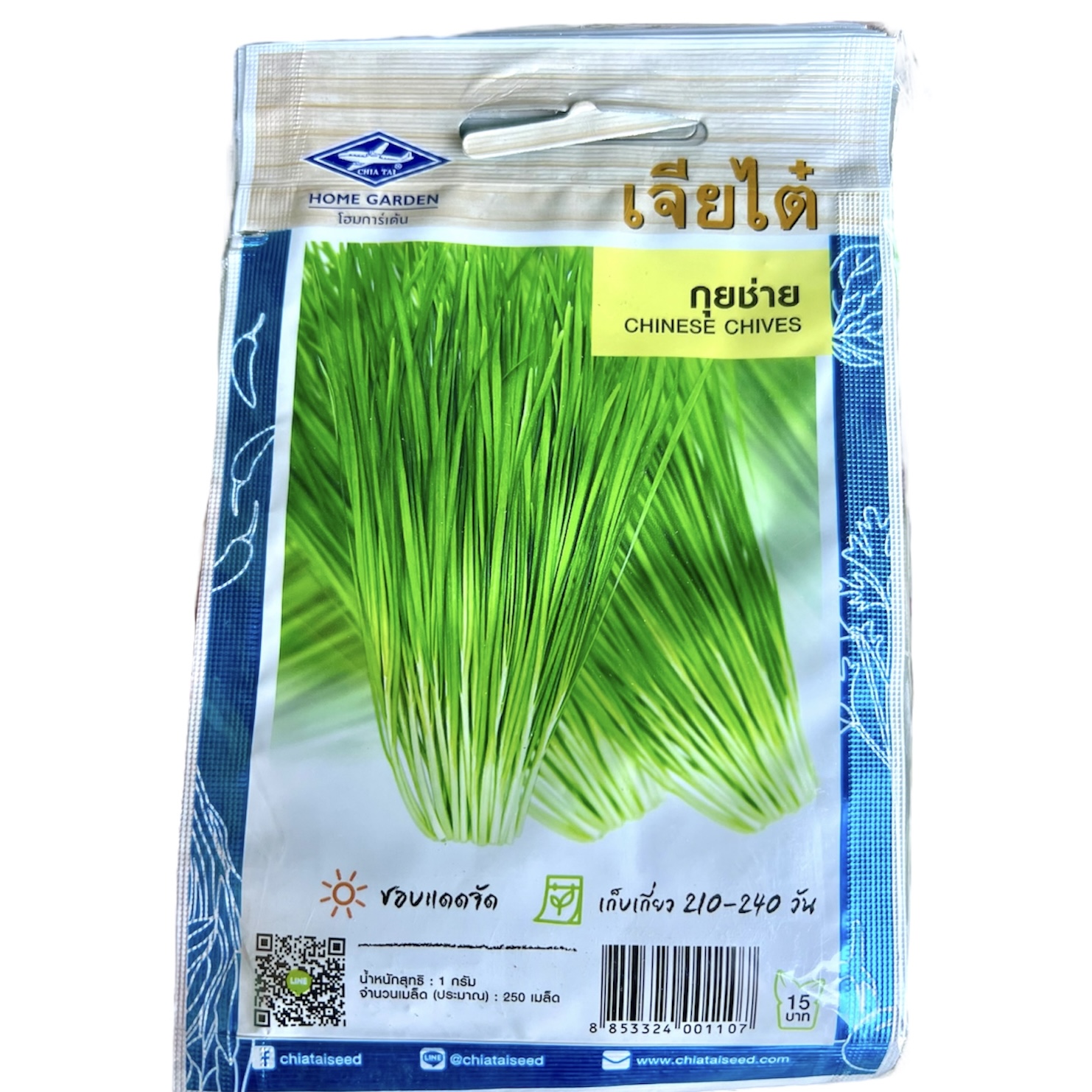 เจียไต๋ เมล็ด กุยช่าย CHINESECHIVES (ประมาณ 250 เมล็ด)