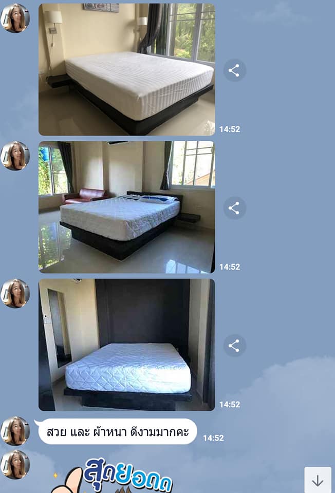 ผ้ารองกันเปื้อนที่นอน Mattress Protector