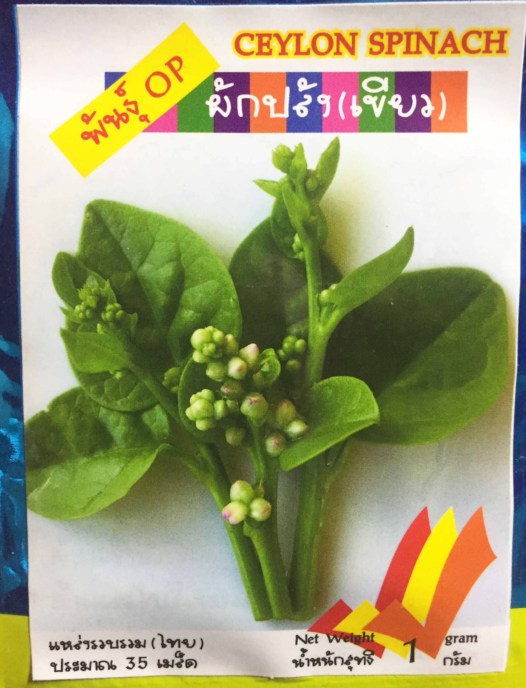 ผักปรัง เขียว 35เมล็ด
