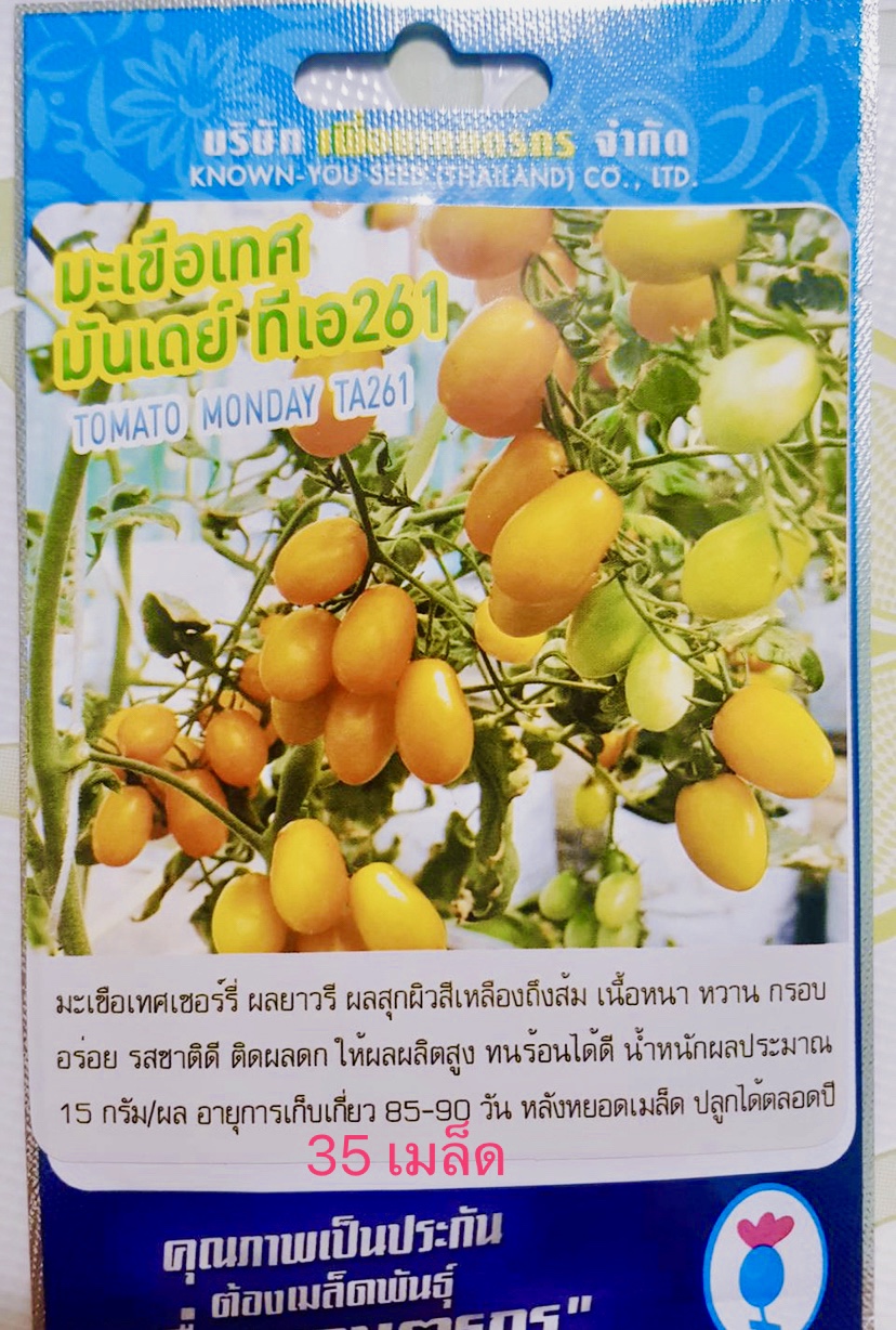 มะเขือเทศ มันเดย์ ราชินี (50 เมล็ด)