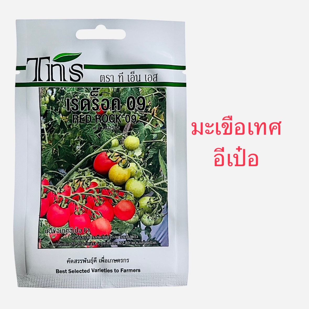 มะเขือเทศ อีเป๋อ ประมาณ 50 เมล็ด