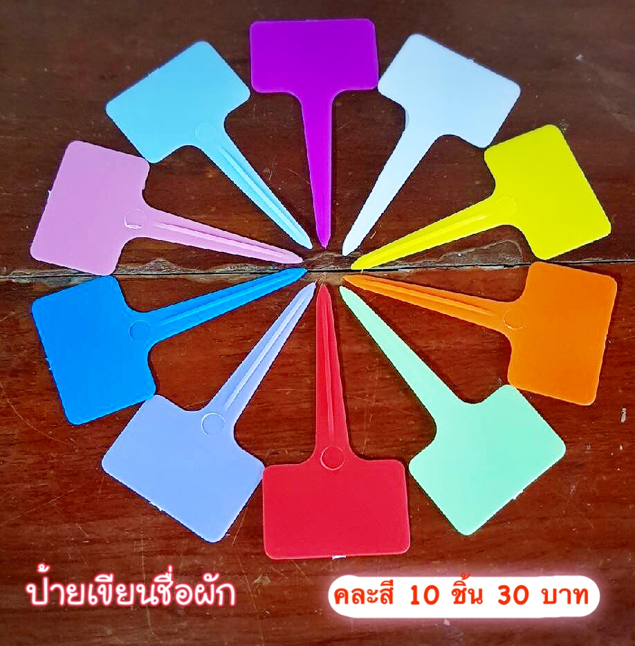 ป้ายเขียนชื่อผัก คละสี 10 ชิ้น