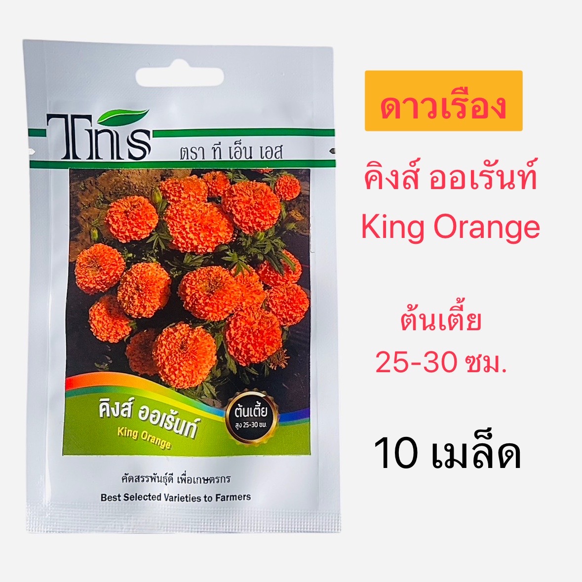 Tns เมล็ด ดาวเรือง คิงส์ ออเร้นท์ ต้นเตี้ย (10 เมล็ด)