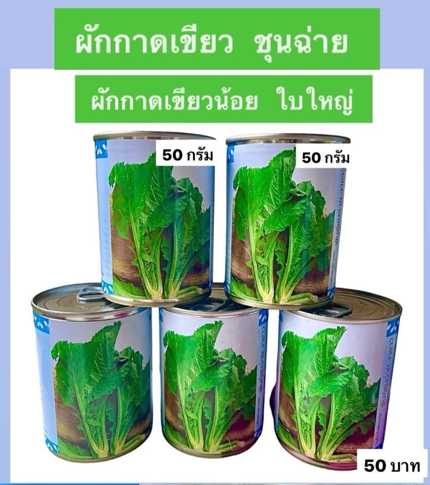 กระป๋อง ผักกาดเขียว ชุนฉ่าย เขียวน้อยใบใหญ่ (80 กรัม)