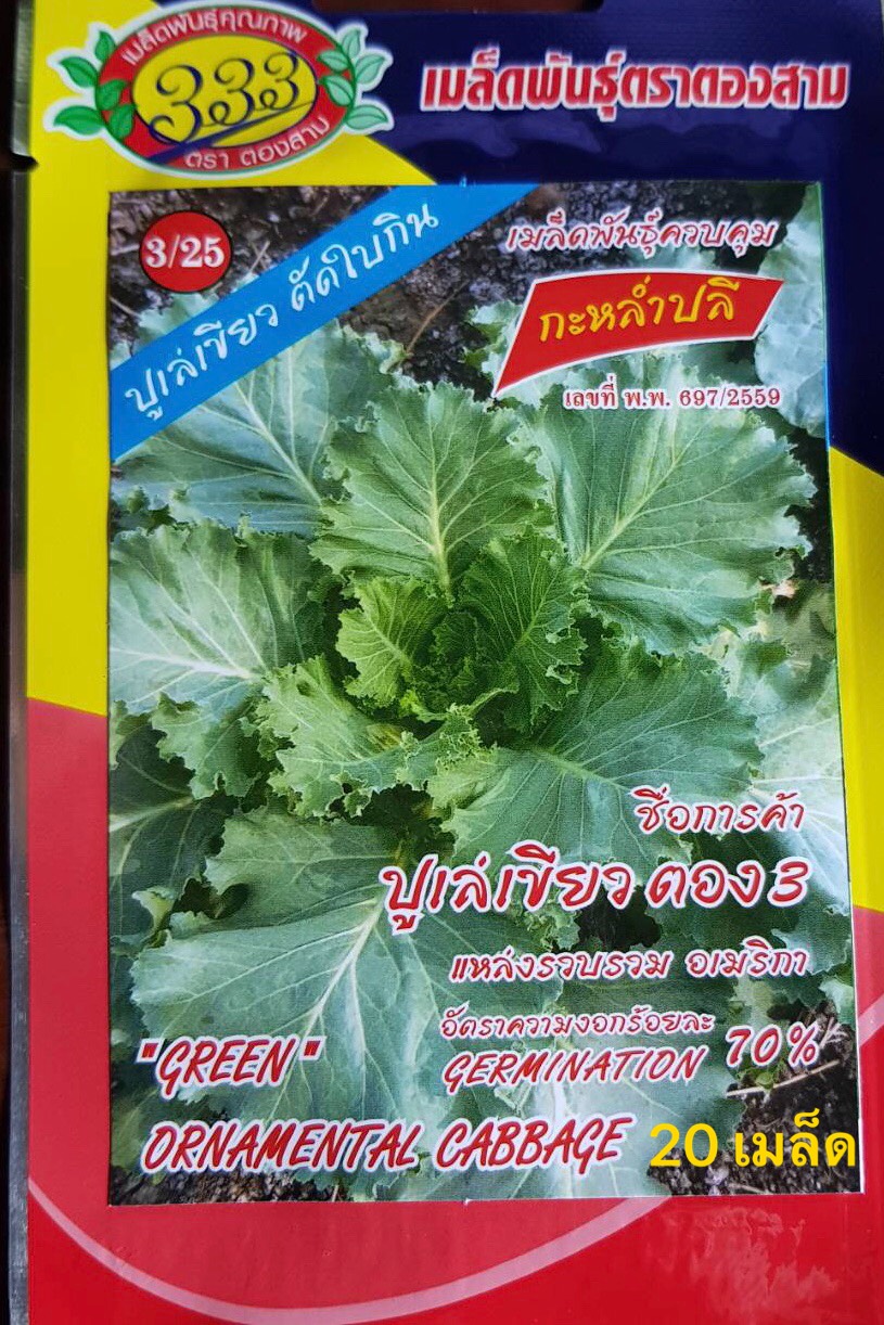 ปูเล่ เขียวอเมริกา 20 เมล็ด