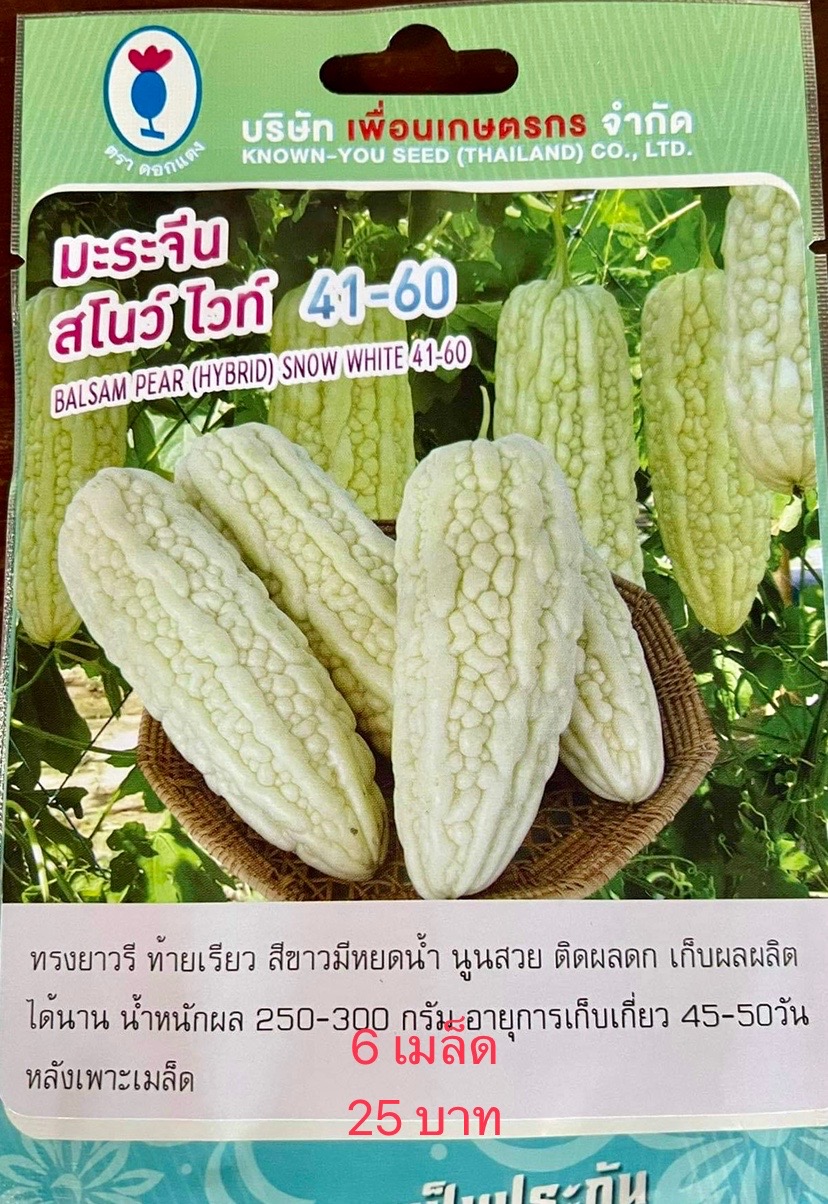 มะระจีน สโนว์ไวท์ 6 เมล็ด