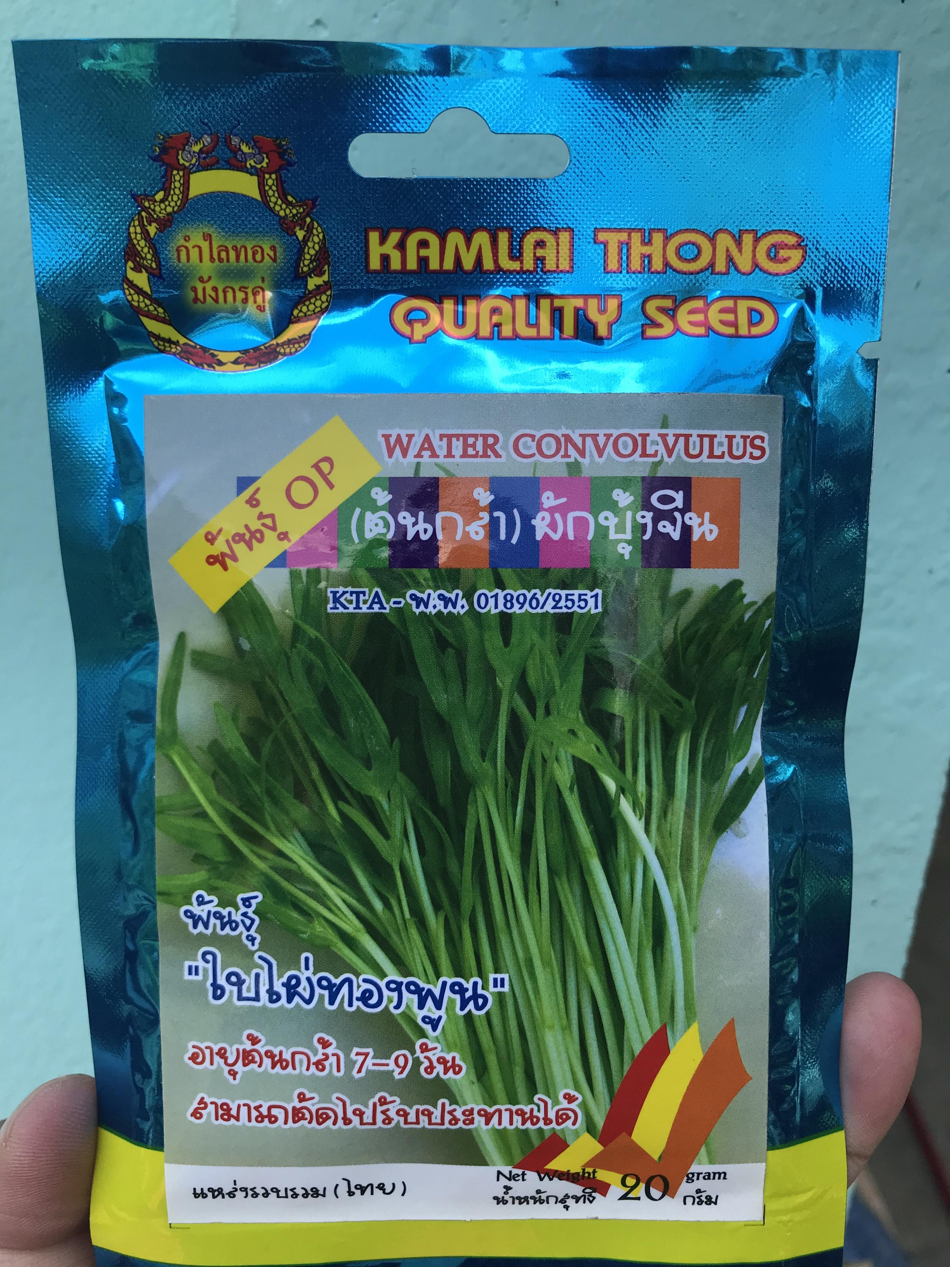 ผักบุ้ง กินต้นอ่อน 20กรัม